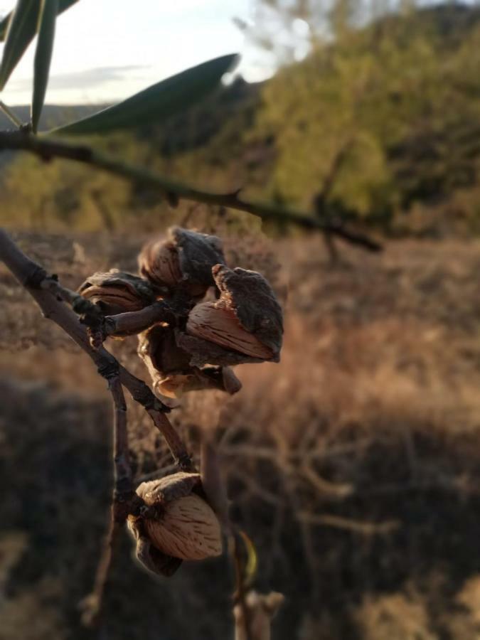 فيلا Casas De Xisto موغادورو المظهر الخارجي الصورة