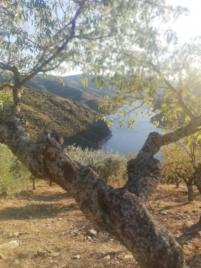 فيلا Casas De Xisto موغادورو المظهر الخارجي الصورة